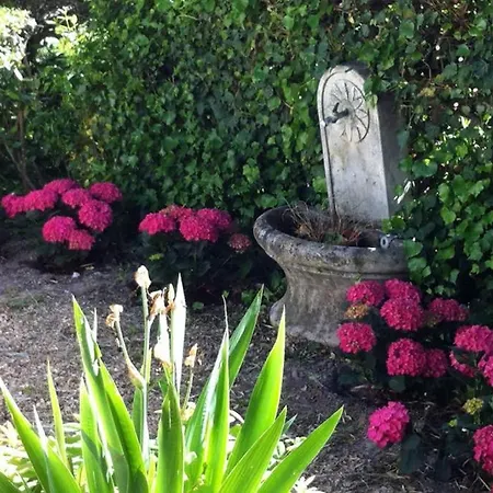 Dans Les Pas De Giono...., Avec Vue Sur Les Toits De ! מנוסק